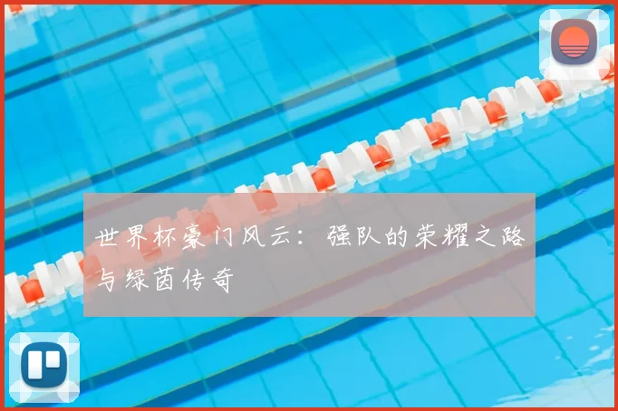 世界杯豪门风云：强队的荣耀之路与绿茵传奇