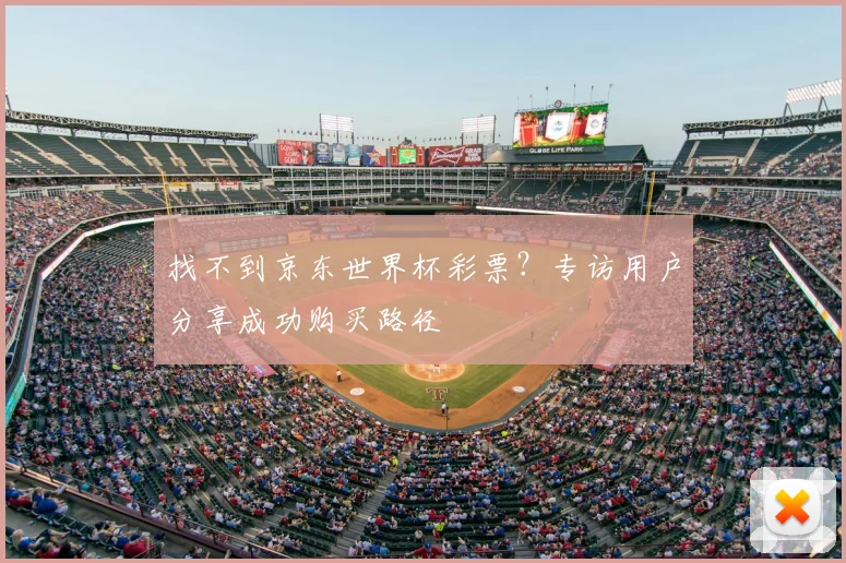 找不到京东世界杯彩票？专访用户分享成功购买路径