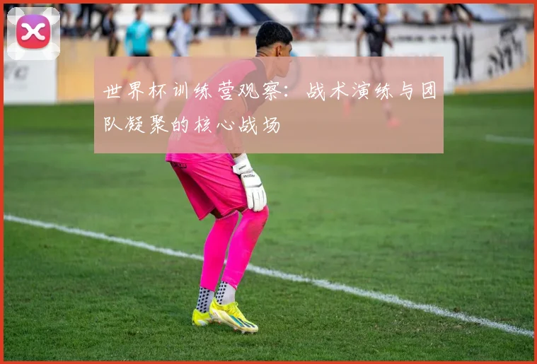 世界杯训练营观察：战术演练与团队凝聚的核心战场