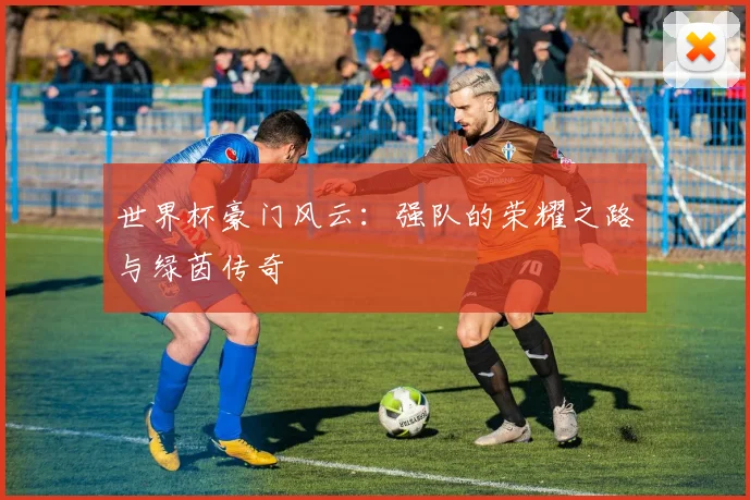 世界杯豪门风云：强队的荣耀之路与绿茵传奇