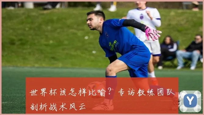 世界杯该怎样比喻？专访教练团队剖析战术风云